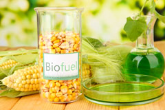 Broneirion biofuel availability